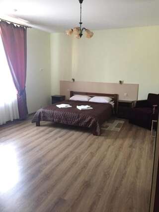Отель Hotel Karpaty Ивано-Франковск Большой двухместный номер с 1 кроватью-39
